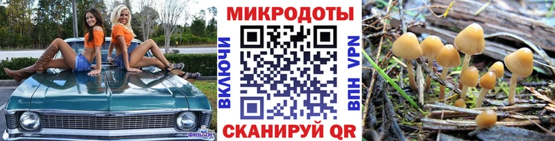 продажа наркотиков  kraken зеркало  Галлюциногенные грибы Psilocybine cubensis  Абаза 